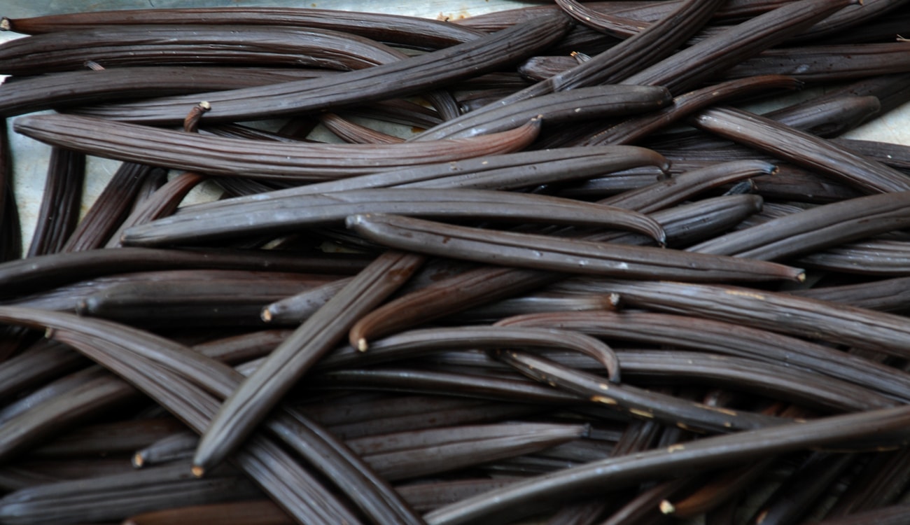 Bourbon Vanilla Beans Curing Process