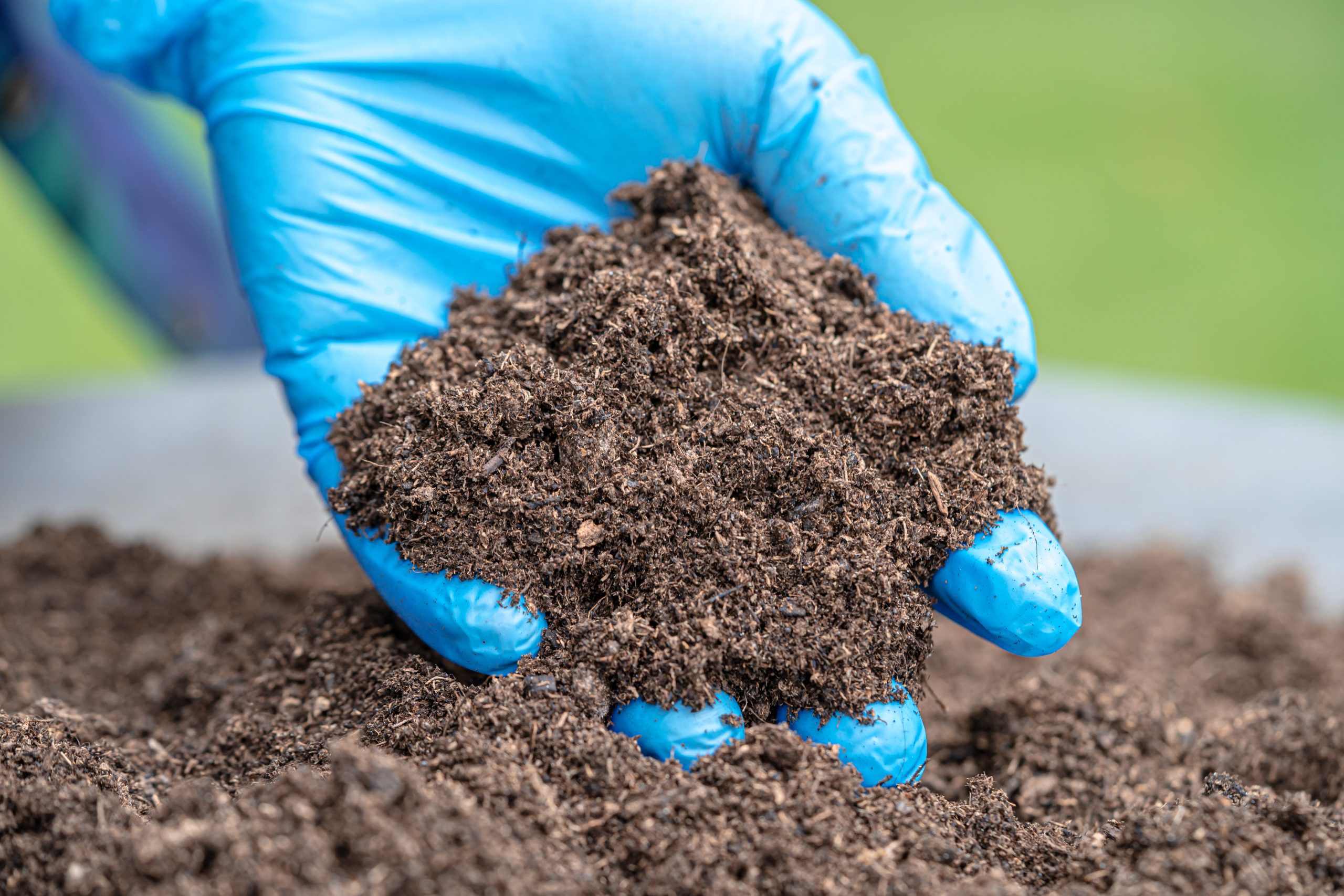 peat moss organic matter improve soil for agriculture